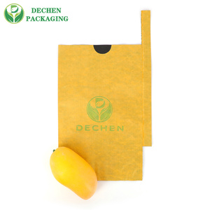 Persimmon Good Quality Apple Grape Growing Factory Price Paper Mango Bag