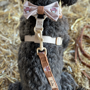 SinSky pas de traction tactique chien harnais luxe collier et laisse ensemble anti-dérapant réglable broderie chien harnais ensemble - Product Image 4