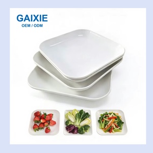 Assiettes carrées personnalisées pour fêtes, desserts, salades, collations, apéritifs, pour restaurant, pique-nique, camping - Product Image 1