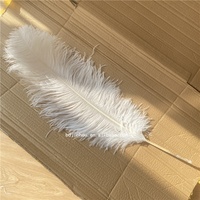Bricolage grande plume blanche carnaval 70-75cm plume d'autruche pour la décoration de fête
