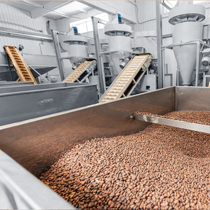 Vente à chaud de noix de pin chalghoza pakistanaise au prix de gros bon marché - Product Image 3