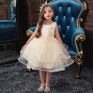 Robe en tulle champagne pour filles, col rond, coupe trapèze, sans manches, costume de demoiselle d'honneur, robe de soirée pour spectacle - Product Image 2