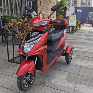 Triciclo de Acero de 3 Ruedas para 2 Pasajeros, Certificado por EEC y DOT, con 1000W de Potencia para Uso Diario, Motocicleta Scooter de Carrocería Abierta, Gasolina, Marca ZHANSHEN - Product Image 2