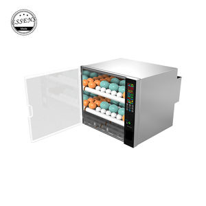 Incubateur automatique pour œufs, éclosion, à bas <span class=keywords><strong>prix</strong></span>, nouveauté <span class=keywords><strong>2021</strong></span> - Product Image 2