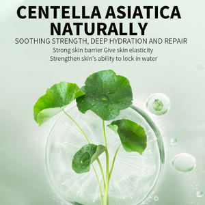 Set de Cuidado de la Piel Hidratante con Suero de Centella Asiática y Té Verde Natural de Marca Privada - Product Image 5