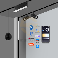 Rail lumineux magnétique LED moderne 15 mm extrêmement fin encastré pour salon, éclairage intelligent pour maison connectée, rails lumineux magnétiques intelligents