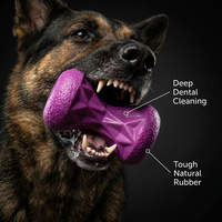 Jouet pour chien en forme d'haltère violet personnalisé, indestructible, en caoutchouc écologique résistant, pour le soin dentaire et la dentition, jouet interactif à mâcher