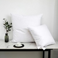 Inserts de coussin en plumes d'oie blanche Premium Stuffer Down Alternative sans couverture en coton/