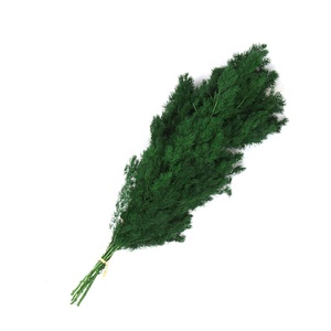 80g all'ingrosso fiori conservati asparagi myrioeladus decorazioni per la tavola di casa conservato felce Ming - Product Image 5