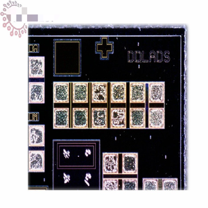 Ddlads Microwave Die - Product Image 1
