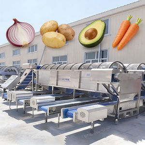 Máquina Electrónica Clasificadora <span class=keywords><strong>de</strong></span> Frutas y Verduras para Manzanas, Tomates y <span class=keywords><strong>Naranjas</strong></span> con Motor como Componente Principal - Product Image 5