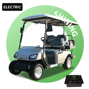 Shininglsv इलेक्ट्रिक 4 सीट मिनी मैक्स 300 प्यारी गोल्फ कार्ट लीड एसिड बैटरी 5kw एसी मोटर कर्टिस नियंत्रक 50-70 किमी/घंटा - Product Image 1