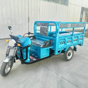 Triciclo de Cabina de Doble Uso para Pasajeros y Carga, Triciclo Económico Directo de Fábrica - Product Image 3