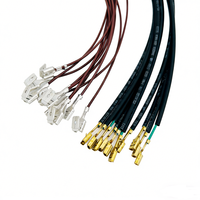 Arnés de cableado para portalámparas de coche personalizado con conector moldeado y cables terminales