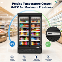 Réfrigérateur vertical commercial pour supermarché à double porte vitrée, à haute efficacité énergétique, pour boissons froides, avec éclairage LED