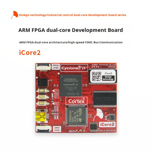 Sunta Ginkgo Icore2 ARM FPGA çift çekirdekli geliştirme kurulu, <span class=keywords><strong>STM32F103</strong></span>, EP4CE10F17I7N çift çekirdekli ARM işlemci - Product Image 2