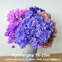 Penjualan Pabrik Baru 2026 Bunga Hydrangea Anna Kualitas Bagus Asli Kering Awet untuk Dekorasi Pernikahan