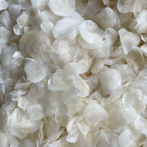 Escamas de pescado seco de alta calidad y buen precio Sra. Mary - Product Image 1