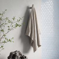 ISILINE Poignée de meuble en laiton massif nickel brossé mat en forme de capsule et crochet mural pour peignoir, pour quincaillerie de salle de bain