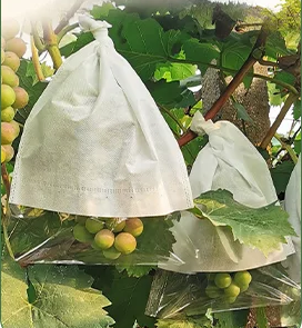 <strong>Mango</strong> <strong>Fruit</strong> <strong>Protection</strong> <strong>Bags</strong> Grape Protect Growing Paper <strong>Bag</strong> Factory Agriculture Heat Seal Wax Coated Paper <strong>Fruit</strong> <strong>Bag</strong> - Product Image 2