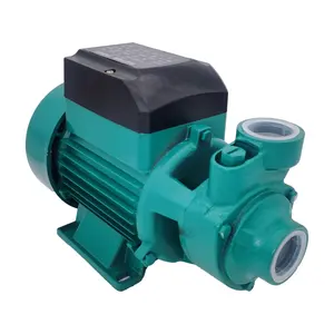 1Hp Electric Motor Home Use Garden QB70 QB80 Peripheral Clean Water Pump