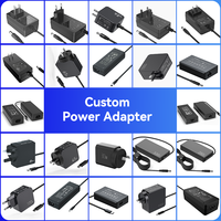 Anpassbarer Wiederaufladbarer Netzadapter 12V 2A 24V1A 24W Stromversorgungsadapter für CCTV-Kamera LED-Licht UL-Zertifizierung
