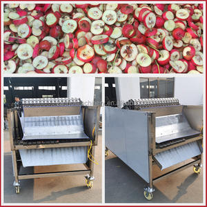 Équipement de traitement de l'acier inoxydable entièrement automatique Nouvelle trancheuse à noyau d'aubépine avec alimentation moteur en équipement de haute technologie - Product Image 4