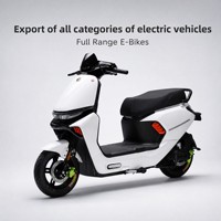 Trottinettes électriques en gros d'usine, batterie au plomb longue portée, vitesse maximale de 80 km/h, moteur de 2000 W, capacité de charge de 200 kg