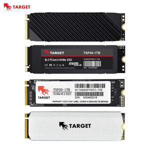 Target 4.0 Gen4 PS5 Internal Laptop Computer SATA 3.0 NVMe M.<span class=keywords><strong>2</strong></span> SSD 256GB-2TB dengan Heatsink Garansi 3 Tahun - Product Image 1