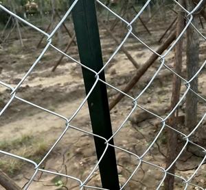 Direct uit de Chinese fabriek: gegalvaniseerd gelast gebogen zwaar kettingscherm, op maat gemaakt, 6ft, 8ft, 10ft hoogte, voor landbouwgrond, boerderij, binnenplaats. - Product Image 5