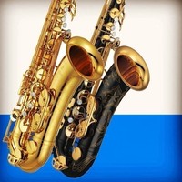 Saxophone Baryton Professionnel en Laiton Laqué, Instrument à Vent, 3 Couleurs au Choix