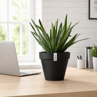 Pot de fleurs léger et élégant pour la décoration de la maison, pots pour plantes, pot de jardin nordique, vente en gros de pots de fleurs en plastique de haute qualité