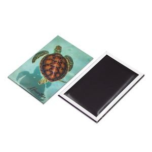 Hot bán tùy chỉnh in ấn mẫu miễn phí du lịch lưu niệm cá nhân tấm thiếc tủ lạnh nam châm - Product Image 1