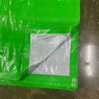 Bâche en PE enduite imperméable et robuste pour tentes extérieures, toiture, couleur vert-argent, taille personnalisable, vente chaude Argentine