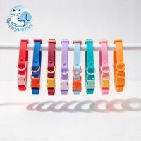 Collier pour chien en silicone souple et flexible, facile à nettoyer, léger, durable, collier de sécurité pour chiot, chat, chien, extérieur
