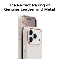 Étui magnétique antichoc en TPU intégral anti-traces de doigts de style professionnel pour téléphone portable série 17