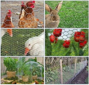Chống gỉ gia cầm lưới hàng rào-PVC tráng lục giác dây lưới cho an toàn động vật ngoài trời - Product Image 6