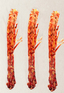 Snack di Collo d'Anatra Confezionato Sottovuoto 68g, Snack di Carne Essiccata - Product Image 5