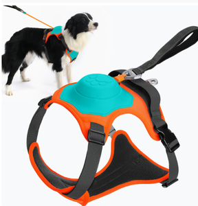 Harnais <span class=keywords><strong>de</strong></span> promenade rétractable pour <span class=keywords><strong>chien</strong></span> avec support dorsal, sans fermeture et anti-évasion, pour chiens <span class=keywords><strong>de</strong></span> taille moyenne et grande - Product Image 2