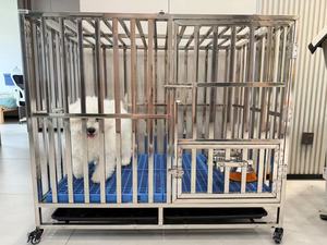 Jaula Moderna de Acero Inoxidable para Mascotas, <span class=keywords><strong>Aves</strong></span>, Perros y Animales Pequeños, Transpirable, para Hospitales Veterinarios - Product Image 5