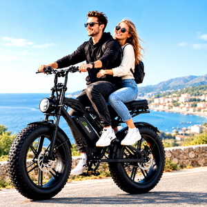 Bicicleta Eléctrica de Largo Alcance con Motor Central sin Escobillas, Batería LG de 48V 15.6Ah, 500W, 20 Pulgadas, Freno de Disco Hidráulico, para Adultos, en Stock en la UE - Product Image 1