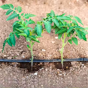 Nastro <span class=keywords><strong>per</strong></span> Irrigazione a Goccia Resistente ai Raggi UV, Sistema di Irrigazione a Goccia <span class=keywords><strong>per</strong></span> 10 Ettari, Nastro Sottile da 16mm <span class=keywords><strong>per</strong></span> Irrigazione Agricola - Product Image 4