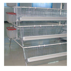 A Tipi 5000 Kuş Otomatik Sulama Sistemi Galvanizli Tavuk Yumurtlama Kafesi (Asya Kümes Hayvanları Çiftliği Ekipmanları) - Product Image 1