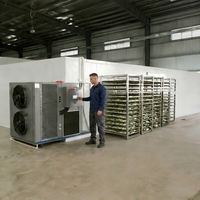Professionele hete verkoop fruitplakjes droogmachine nieuw ontworpen warmtepompdroger voor guave, citrus schillen, papaya CE