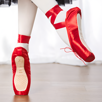 Chaussons de ballet souples pour adultes, durables, professionnels, pour femmes et filles