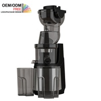 Geoptimaliseerde 250W slowjuicer van roestvrij staal met hoge opbrengst en residu-scheiding voor sinaasappels en ander fruit, koudgeperste sapmachine