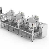 Ligne de revêtement efficace en usine pour la production de pop-corn Machine à pop-corn nouvelle condition pour l'utilisation en usine