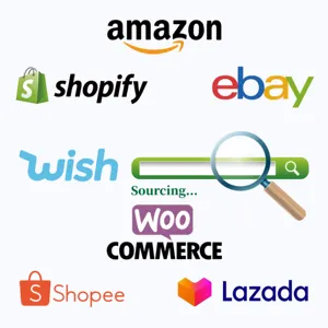 Dropshipping Agent Sourcing Dropshipping Winning Products 2024 Suppliers Shopify Dropshipping