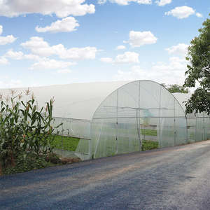 Grande serre tunnel <span class=keywords><strong>en</strong></span> film plastique à portée unique pour les semis de légumes et de fleurs - Product Image 4