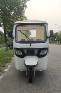 Triciclo Elettrico EEC con Tettuccio per Passeggeri, Tuk-Tuk per Brevi Distanze, Triciclo per Tour Turistici e Panoramiche - Product Image 2